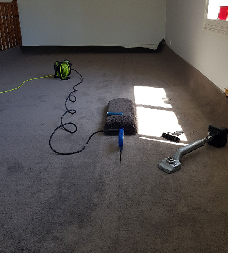 carpet installation melbourne